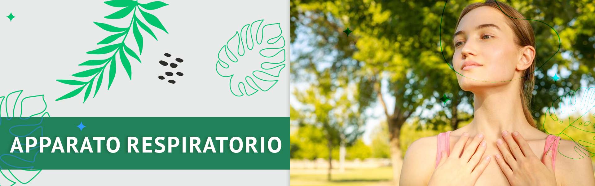 Apparato respiratorio