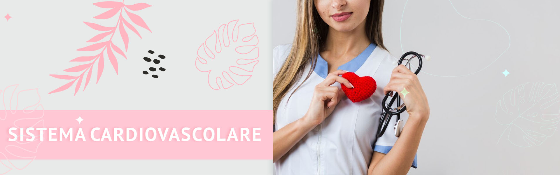 Sistema cardiovascolare